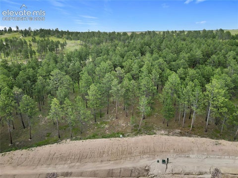 Photo of 14983 Bourbon Court, Colorado Springs, CO 80908 (MLS # 7823622)
