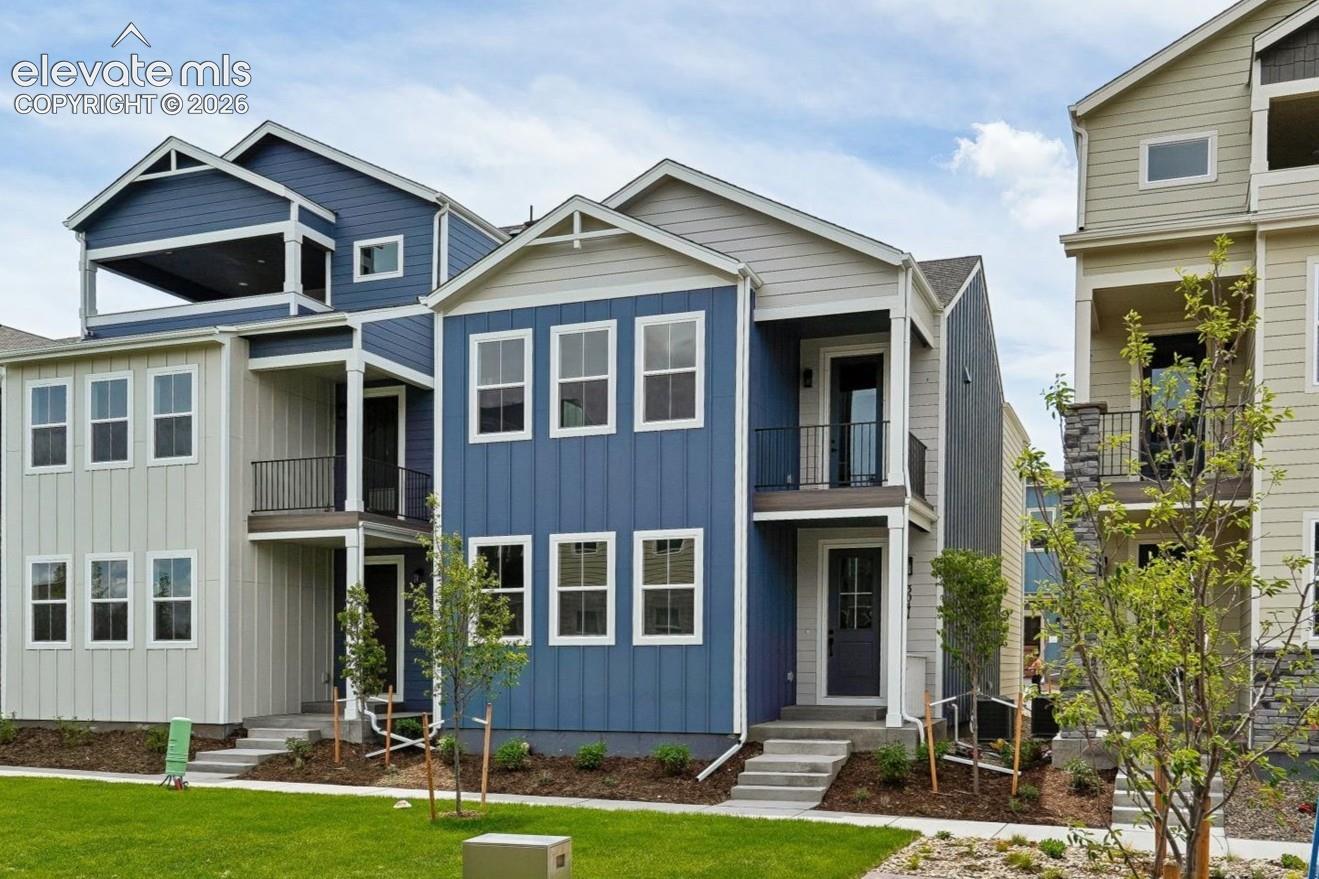 3041 Curly Grove