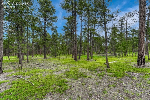 Photo of 000 Wyandott Drive, Colorado Springs, CO 80908 (MLS # 1724058)
