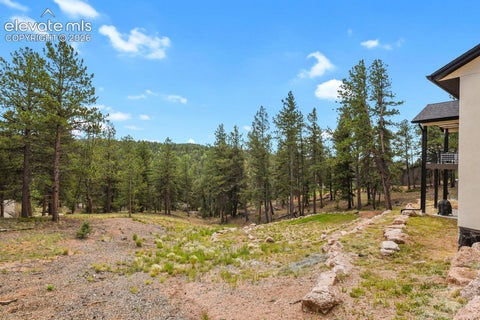 Tiny photo for 934 Pinewood Road, Florissant, CO 80816 (MLS # 6153768)