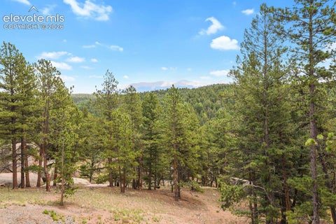 Tiny photo for 934 Pinewood Road, Florissant, CO 80816 (MLS # 6153768)