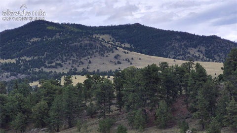 Photo of 504 County Road 59, Guffey, CO 80820 (MLS # 4794901)