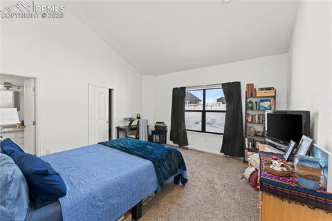 Tiny photo for 112 Ridge Point Circle, Divide, CO 80814 (MLS # 1338124)