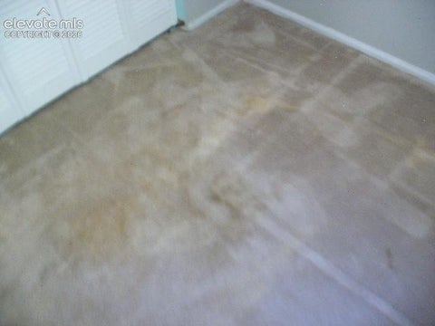 Tiny photo for 2127 Mt. Werner Place, Colorado Springs, CO 80905 (MLS # 5216428)