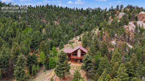 Tiny photo for 455 Lost Canyon Heights, Florissant, CO 80816 (MLS # 7914432)