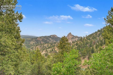 Tiny photo for 455 Lost Canyon Heights, Florissant, CO 80816 (MLS # 7914432)