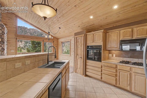 Tiny photo for 455 Lost Canyon Heights, Florissant, CO 80816 (MLS # 7914432)