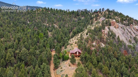 Tiny photo for 455 Lost Canyon Heights, Florissant, CO 80816 (MLS # 7914432)