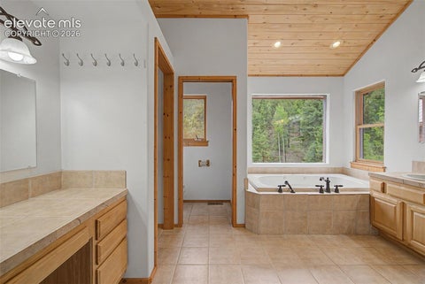 Tiny photo for 455 Lost Canyon Heights, Florissant, CO 80816 (MLS # 7914432)