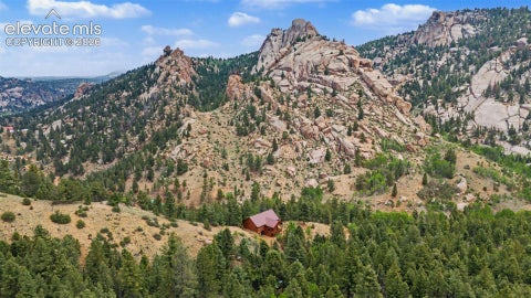 Tiny photo for 455 Lost Canyon Heights, Florissant, CO 80816 (MLS # 7914432)