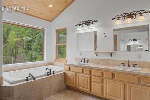 Tiny photo for 455 Lost Canyon Heights, Florissant, CO 80816 (MLS # 7914432)