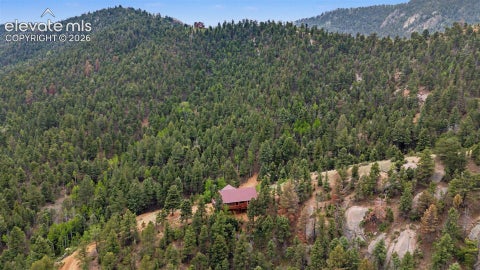 Tiny photo for 455 Lost Canyon Heights, Florissant, CO 80816 (MLS # 7914432)