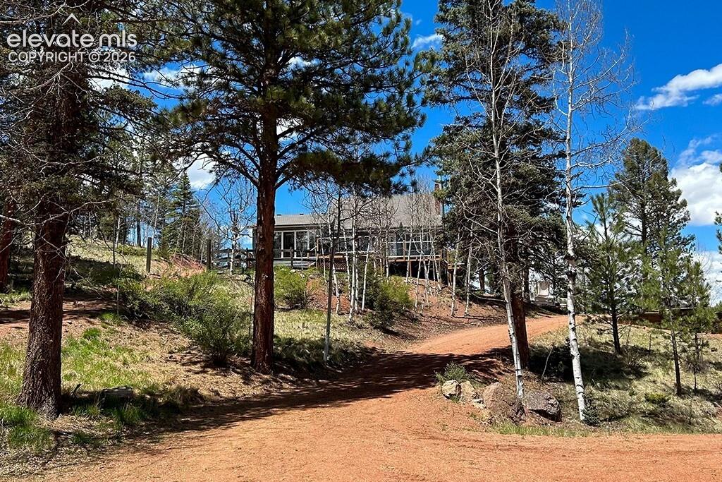 83 Pika Creek Trail