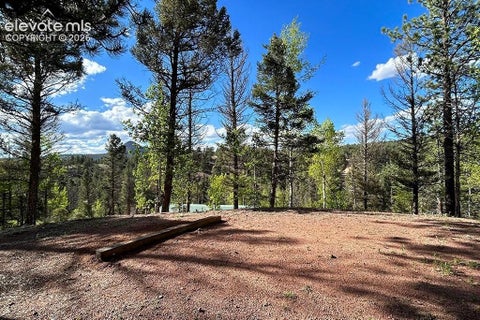 Tiny photo for 83 Pika Creek Trail, Florissant, CO 80816 (MLS # 7625223)