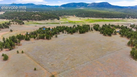 Tiny photo for 567 County Road 31, Florissant, CO 80816 (MLS # 6173697)