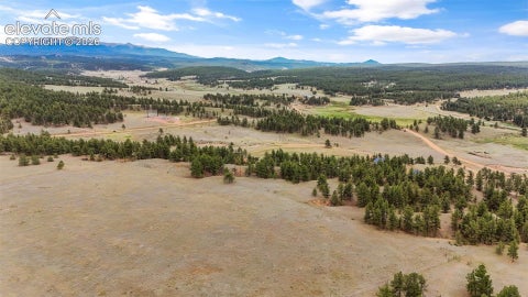 Tiny photo for 567 County Road 31, Florissant, CO 80816 (MLS # 6173697)