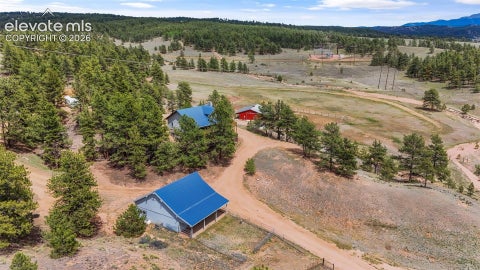 Tiny photo for 567 County Road 31, Florissant, CO 80816 (MLS # 6173697)