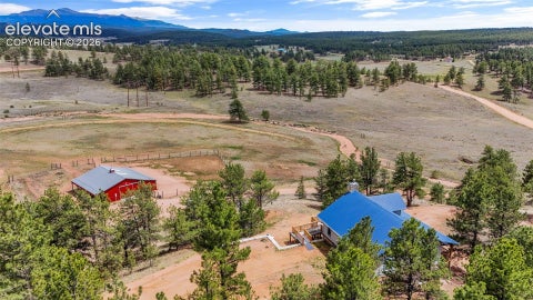 Tiny photo for 567 County Road 31, Florissant, CO 80816 (MLS # 6173697)