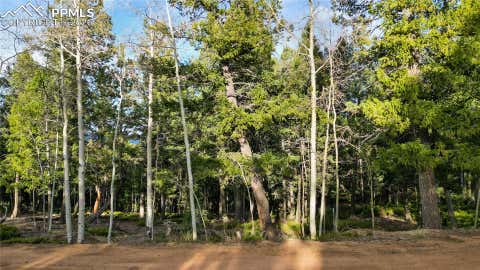 Photo of 68 Yale Place, Woodland Park, CO 80863 (MLS # 8591866)