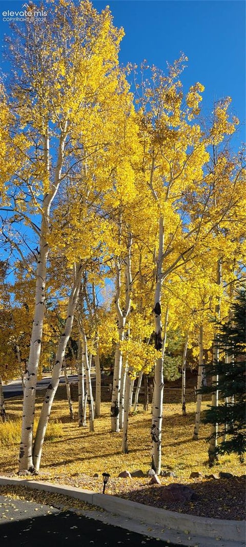 Tiny photo for 718 Misty Pines Circle, Woodland Park, CO 80863 (MLS # 9312902)