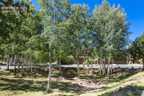 Tiny photo for 718 Misty Pines Circle, Woodland Park, CO 80863 (MLS # 9312902)