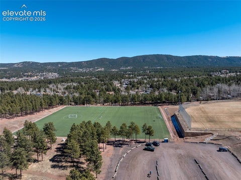 Tiny photo for 718 Misty Pines Circle, Woodland Park, CO 80863 (MLS # 9312902)