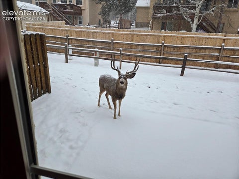 Tiny photo for 718 Misty Pines Circle, Woodland Park, CO 80863 (MLS # 9312902)