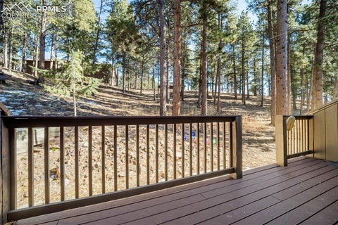 Tiny photo for 554 Manor Court #C, Woodland Park, CO 80863 (MLS # 9538949)