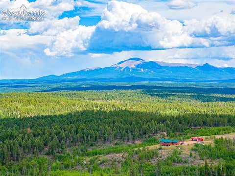 Photo of 4 County Road 51, Florissant, CO 80816 (MLS # 7872223)