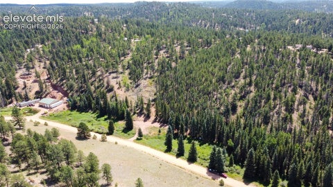 Photo of 1570 Pathfinder Road, Florissant, CO 80816 (MLS # 3763533)