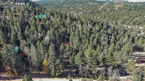Photo of 2700 N Mountain Estates Road, Florissant, CO 80816 (MLS # 8671640)