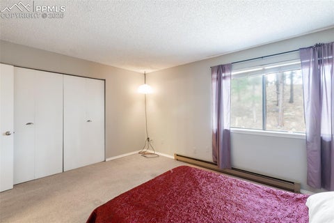 Tiny photo for 560 Manor Court #C, Woodland Park, CO 80863 (MLS # 7585339)