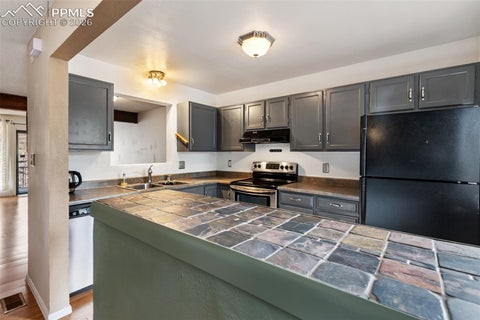 Tiny photo for 560 Manor Court #C, Woodland Park, CO 80863 (MLS # 7585339)