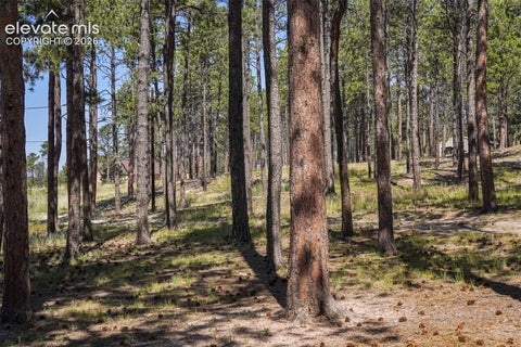 Tiny photo for 13290 Pinery Drive, Colorado Springs, CO 80908 (MLS # 1727926)