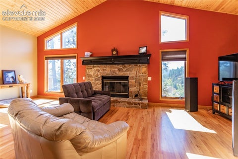 Tiny photo for 1325 Kings Crown Road, Woodland Park, CO 80863 (MLS # 2878929)