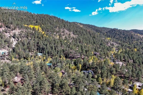 Tiny photo for 1325 Kings Crown Road, Woodland Park, CO 80863 (MLS # 2878929)