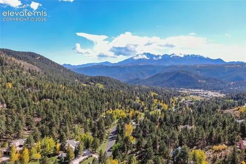 Tiny photo for 1325 Kings Crown Road, Woodland Park, CO 80863 (MLS # 2878929)