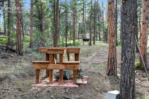 Tiny photo for 1721 Wildhorn Road, Florissant, CO 80816 (MLS # 9803263)