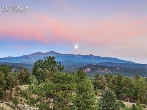 Tiny photo for 1721 Wildhorn Road, Florissant, CO 80816 (MLS # 9803263)