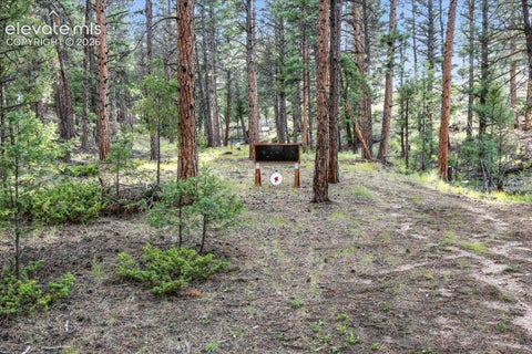 Tiny photo for 1721 Wildhorn Road, Florissant, CO 80816 (MLS # 9803263)