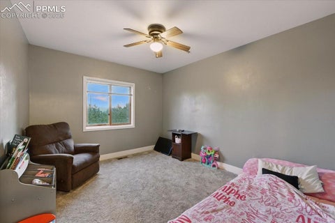 Tiny photo for 1721 Wildhorn Road, Florissant, CO 80816 (MLS # 9803263)