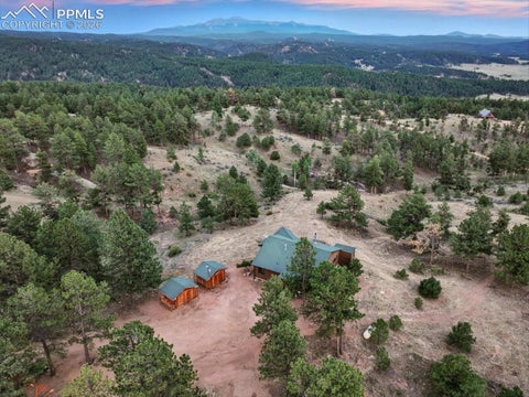 Tiny photo for 1721 Wildhorn Road, Florissant, CO 80816 (MLS # 9803263)
