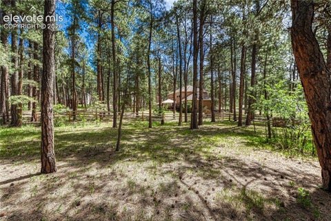 Tiny photo for 15849 Longmeadow Lane, Colorado Springs, CO 80921 (MLS # 8511165)
