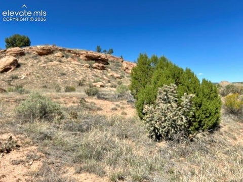 Photo of 0 Bowie Road, Penrose, CO 81240 (MLS # 1671770)