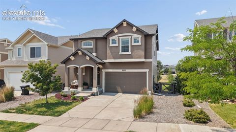 Photo of 8820 Briar Brush Lane, Colorado Springs, CO 80927 (MLS # 6318668)