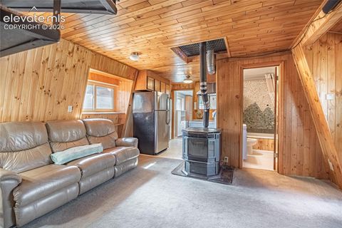 Tiny photo for 76 Pine Drive, Woodland Park, CO 80863 (MLS # 1312186)