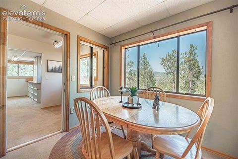 Tiny photo for 76 Pine Drive, Woodland Park, CO 80863 (MLS # 1312186)