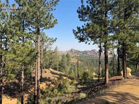 Tiny photo for 76 Pine Drive, Woodland Park, CO 80863 (MLS # 1312186)