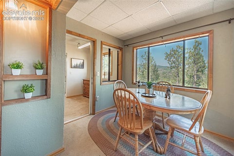 Tiny photo for 76 Pine Drive, Woodland Park, CO 80863 (MLS # 1312186)