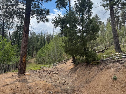 Tiny photo for 76 Pine Drive, Woodland Park, CO 80863 (MLS # 1312186)